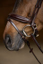 Brown high quality dressage bridle