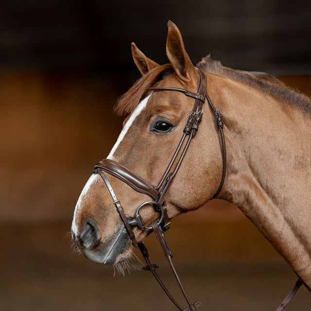 Brown round leather dressage bridle 