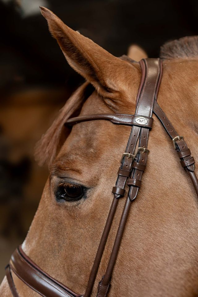 HFI Round Leather Dressage Bridle Brown