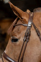 HFI Round Leather Dressage Bridle Brown