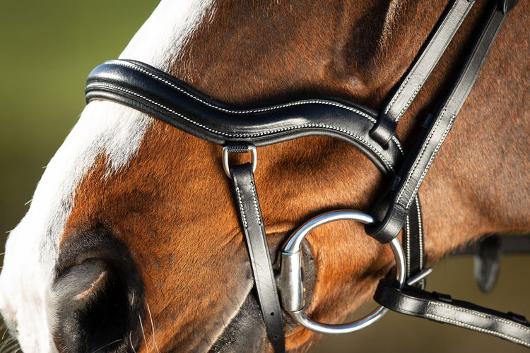 Anatomic noseband show jumping bridle black