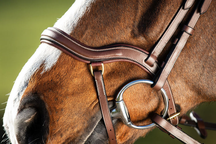 Anatomical noseband bridle in brown