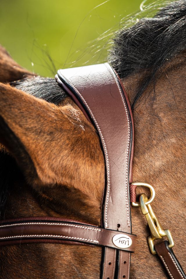 Bridle with anatomic headpiece and snap clip 