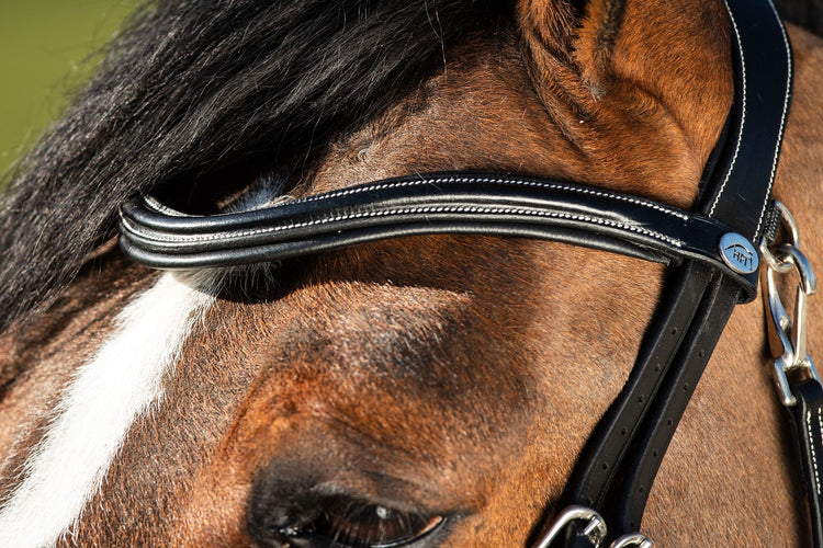 HFI Techno bridle black