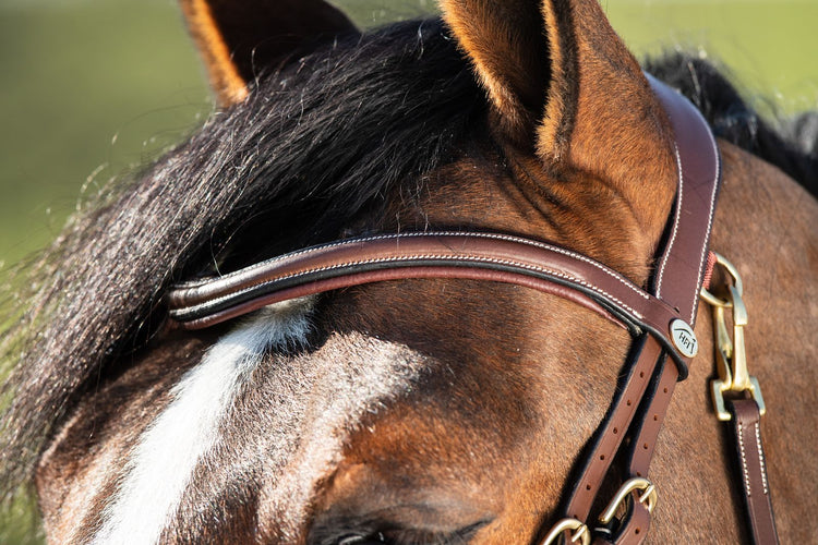 HFI Leather Bridle Anatomic in brown