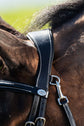 close up of HFI anatomical techno bridle headpiece black
