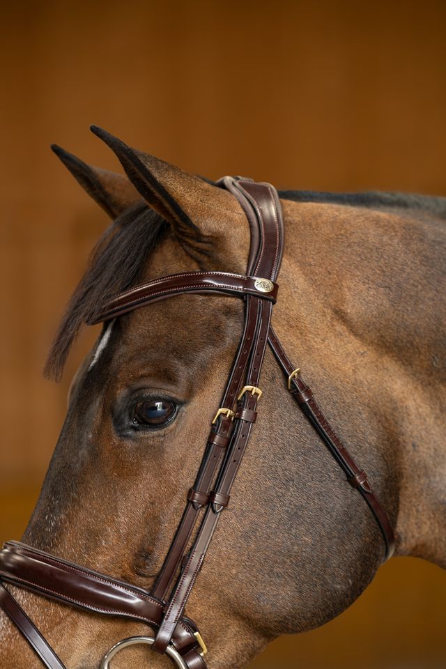 HFI Verona Bridle Brown with Brass fittings