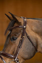 HFI Verona Bridle Brown with Brass fittings