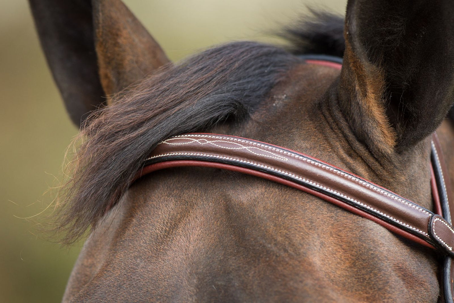 HFI fancy stitch browband