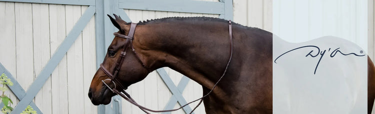 Dy'on brown hunter cavesson bridle on braided bay horse – premium horse tack from Equizone Online
