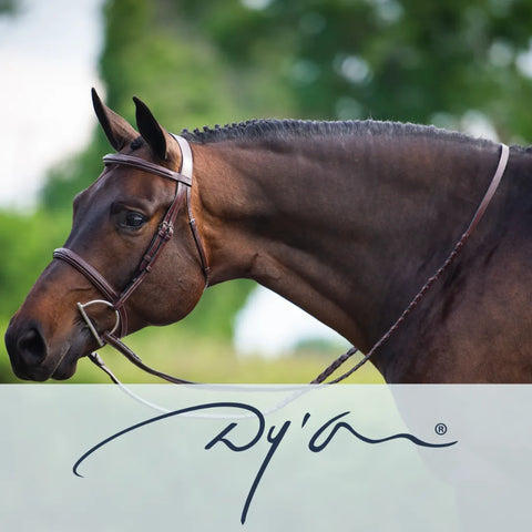 Dy'on premium leather bridle on bay show jumping horse – luxury equestrian tack available at Equizone Online