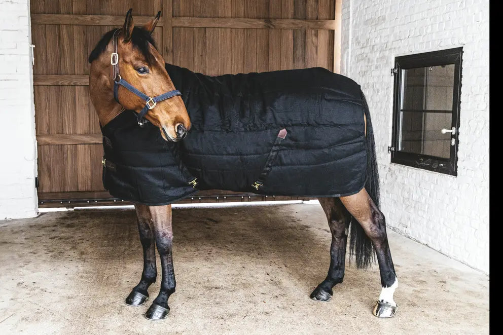 Black Stable rug for horses