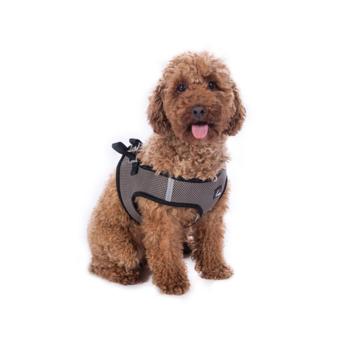 Grey dog harness