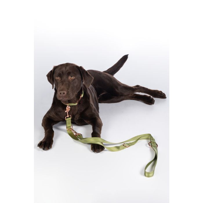 Hkm dog leash