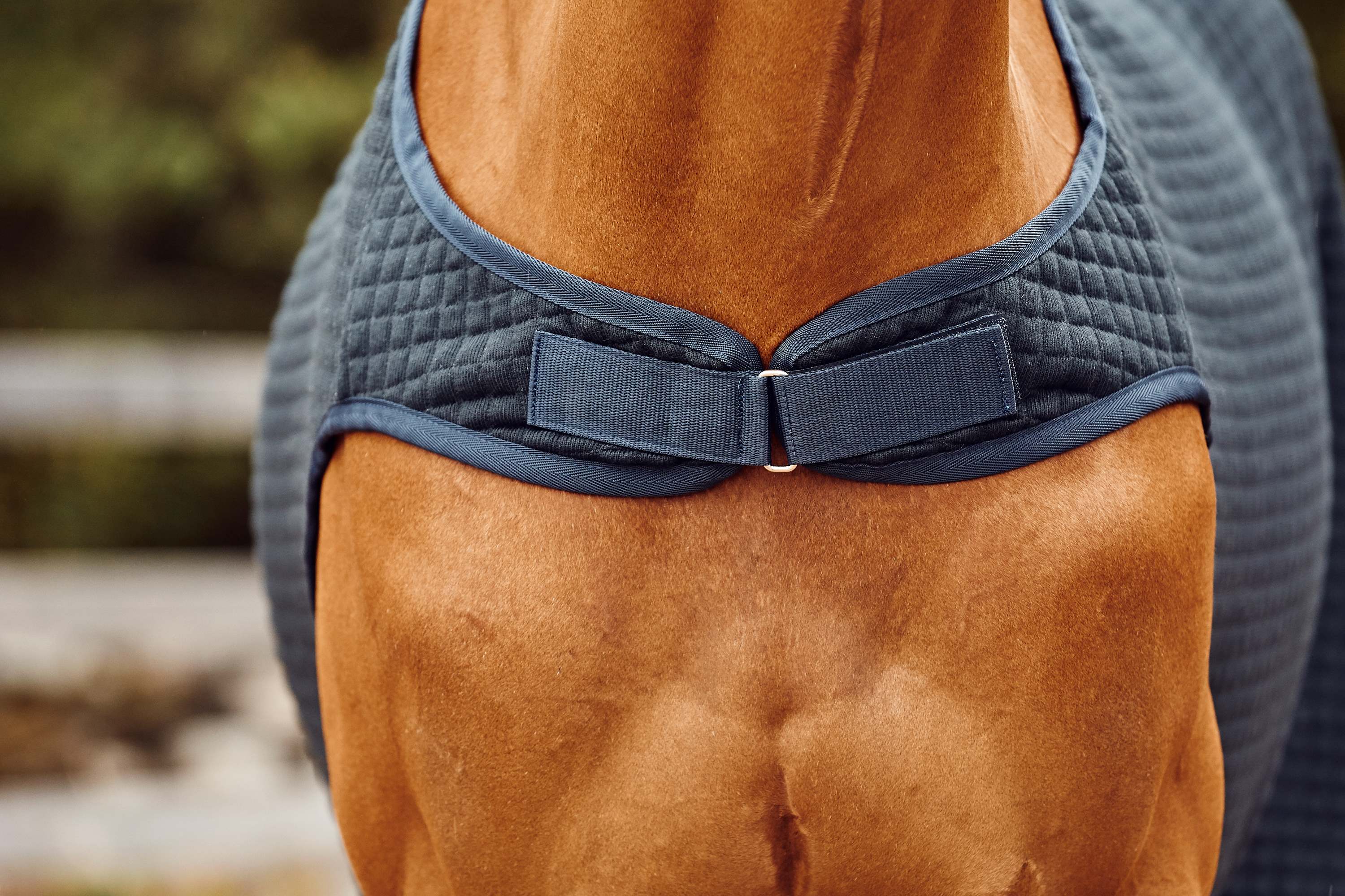 Lunging Rug Classic Wool Evolution Walker/Lunging Thermo Rug – EquiZone Online