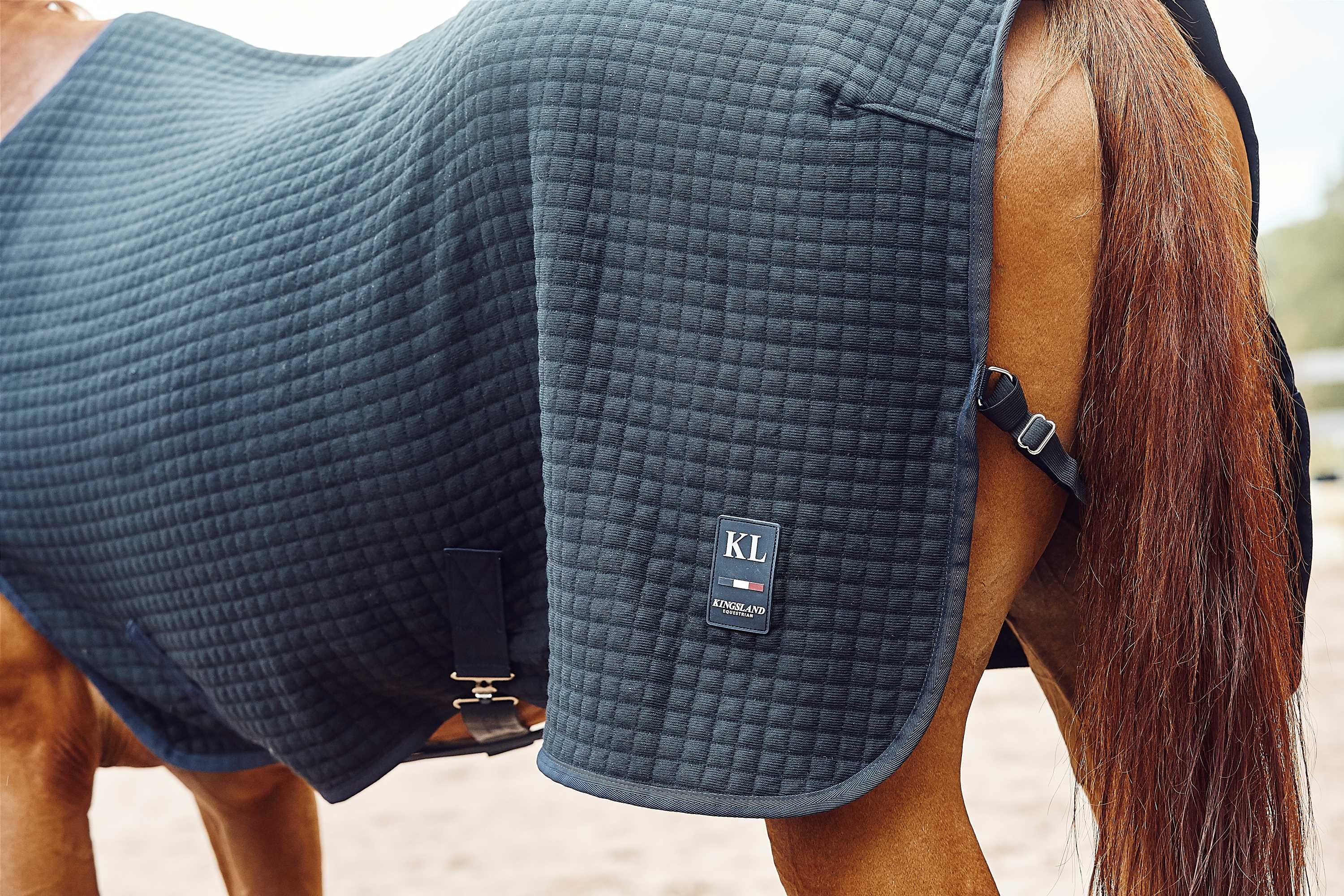 Lunging Rug Classic Wool Evolution Walker/Lunging Thermo Rug – EquiZone Online