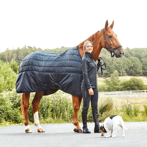 Stable rug for clipped horses