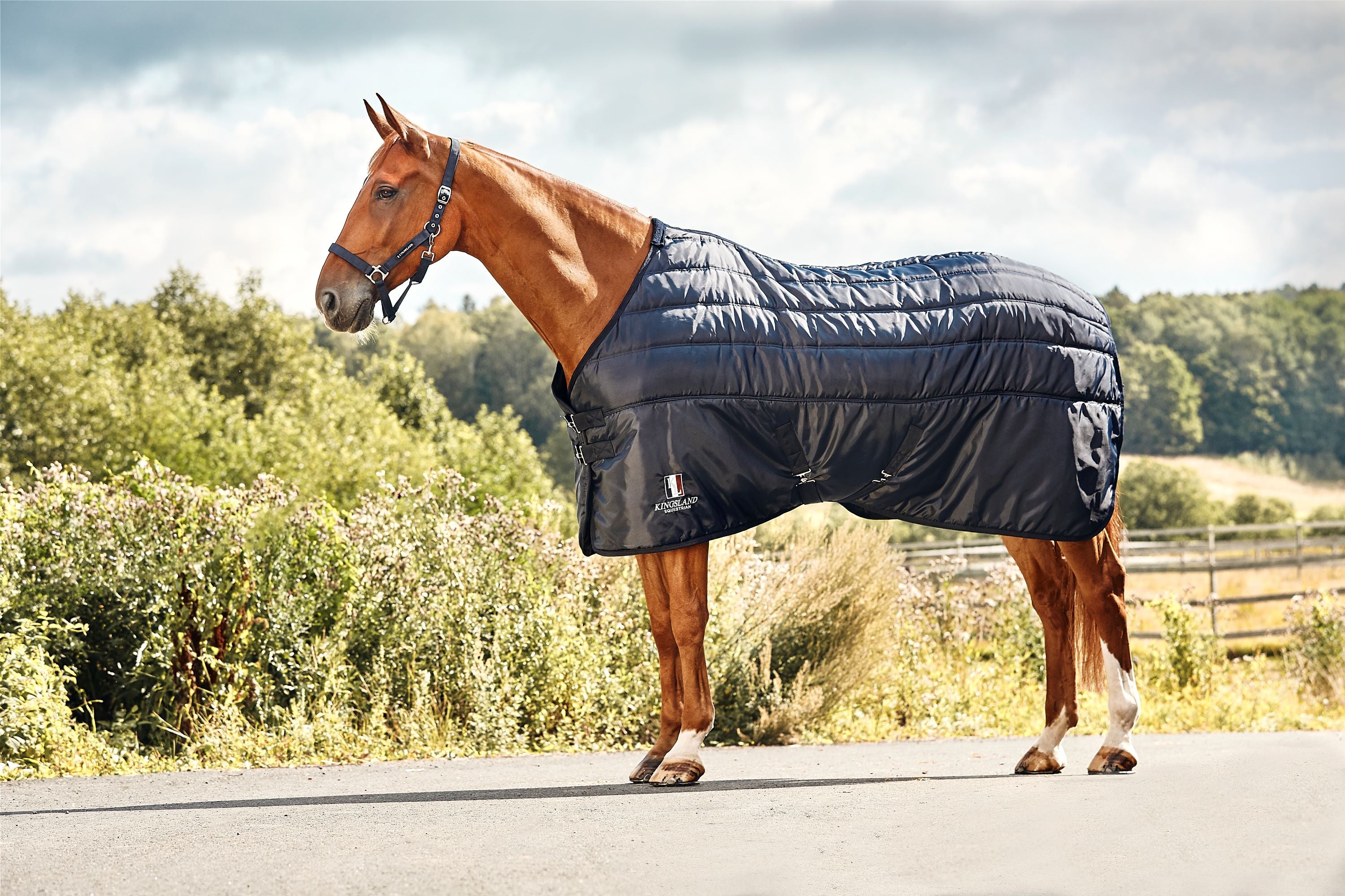 400g Stable Rug Classic Primary Stable Rug 400g – EquiZone Online