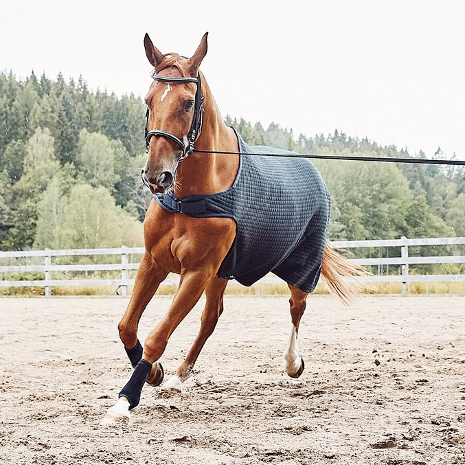 Lunging Rug Classic Wool Evolution Walker/Lunging Thermo Rug – EquiZone Online