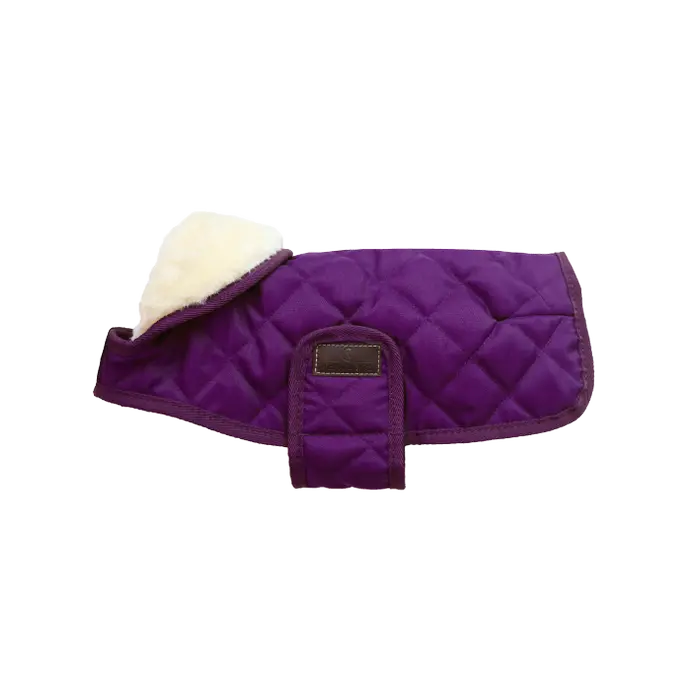 Purple dog coat 