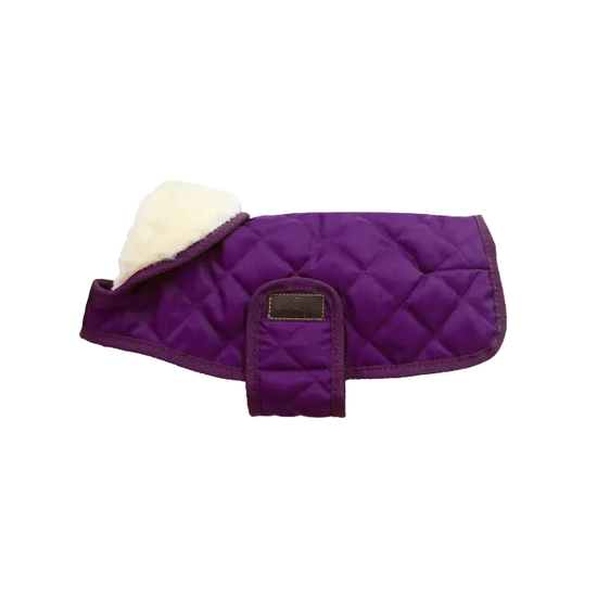 Purple dog coat 