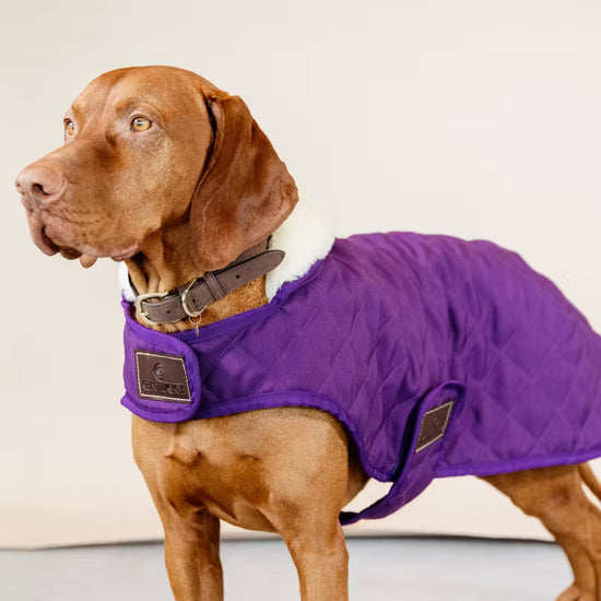 Kentucky Dogwear
Dog Coat Original