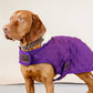 Kentucky Dogwear
Dog Coat Original
