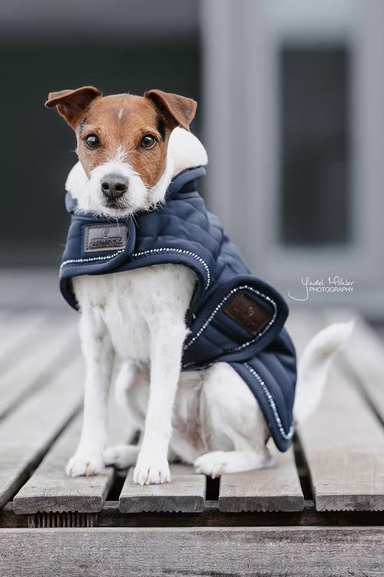 Kentucky Dogwear
Dog Coat Pearls