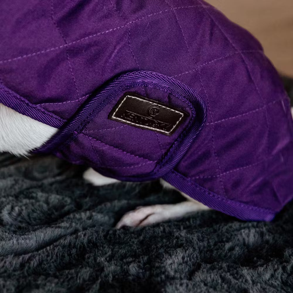Kentucky Dogwear Dog Coat Original Royal Purple