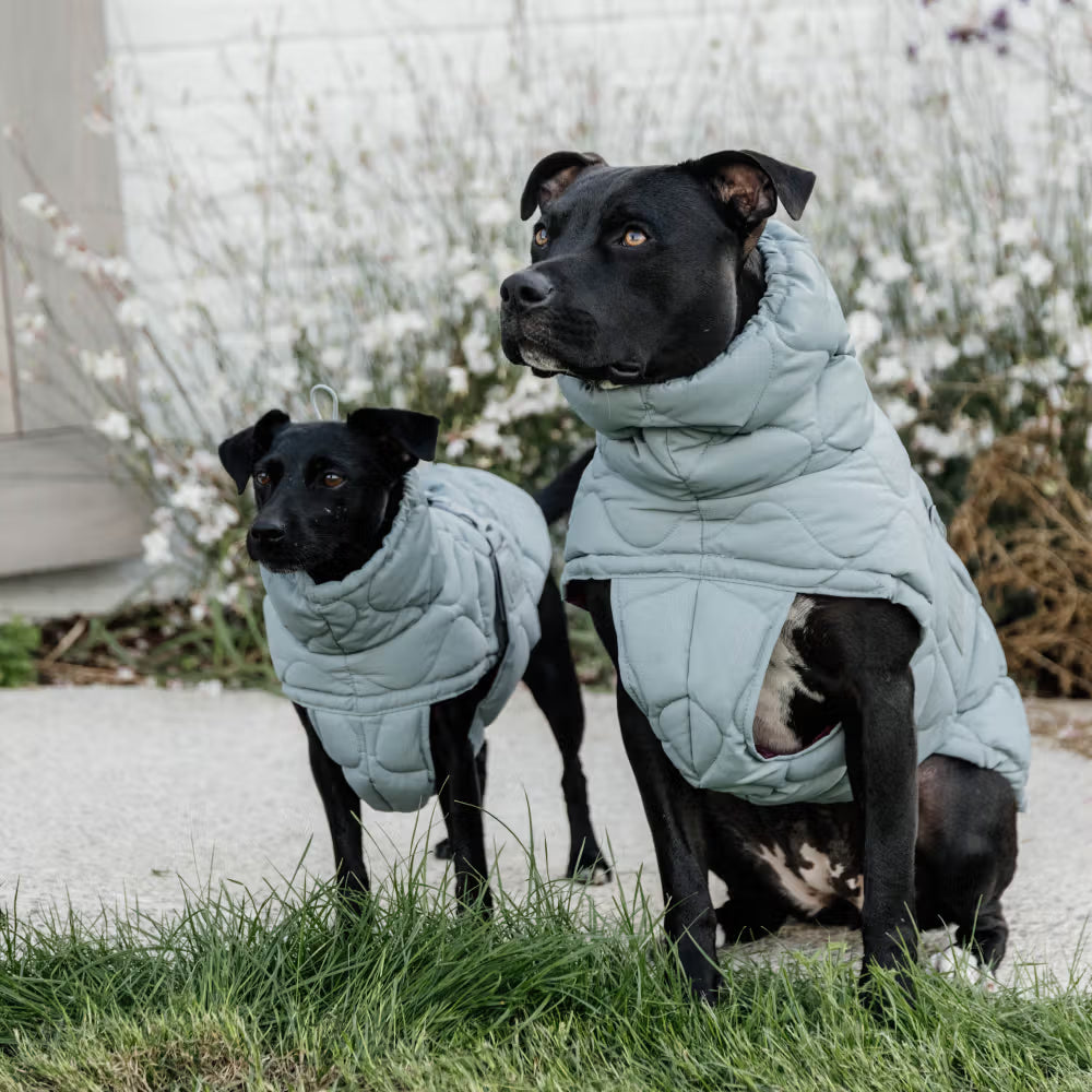 Kentucky Dogwear
Dog Coat Winter Pina