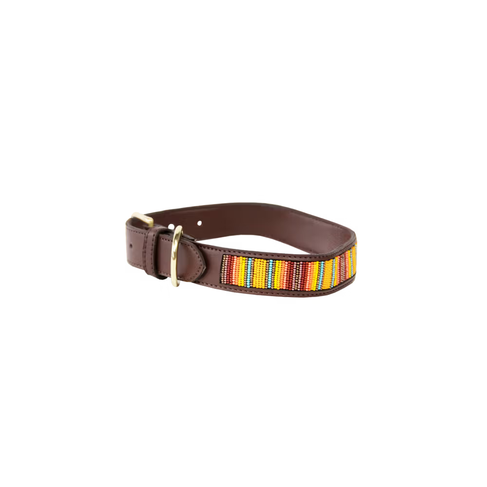 Kentucky Dogwear
Dog Collar Handmade Pearls Orange