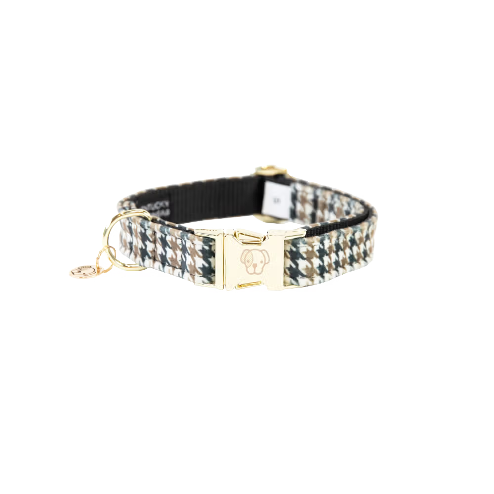 Kentucky Dogwear
Dog Collar Pied De Poule Brown