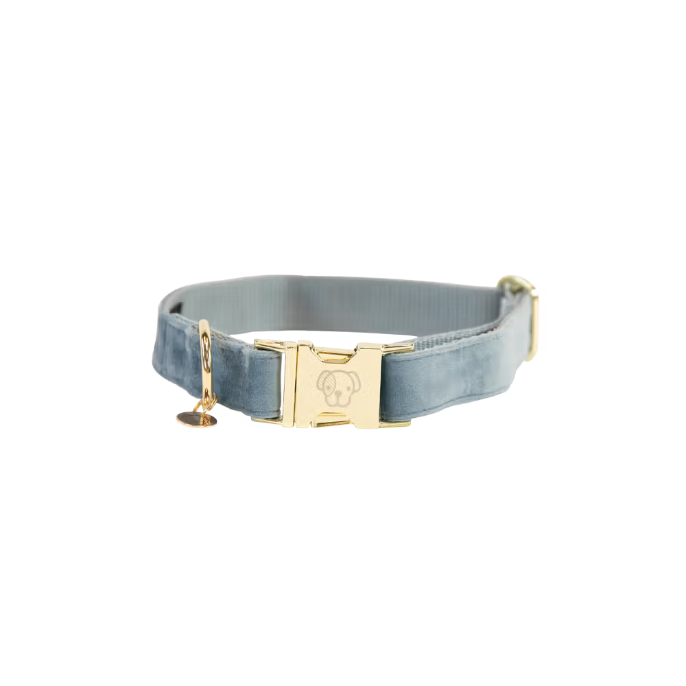 Kentucky Dogwear
Dog Collar Velvet Blue
