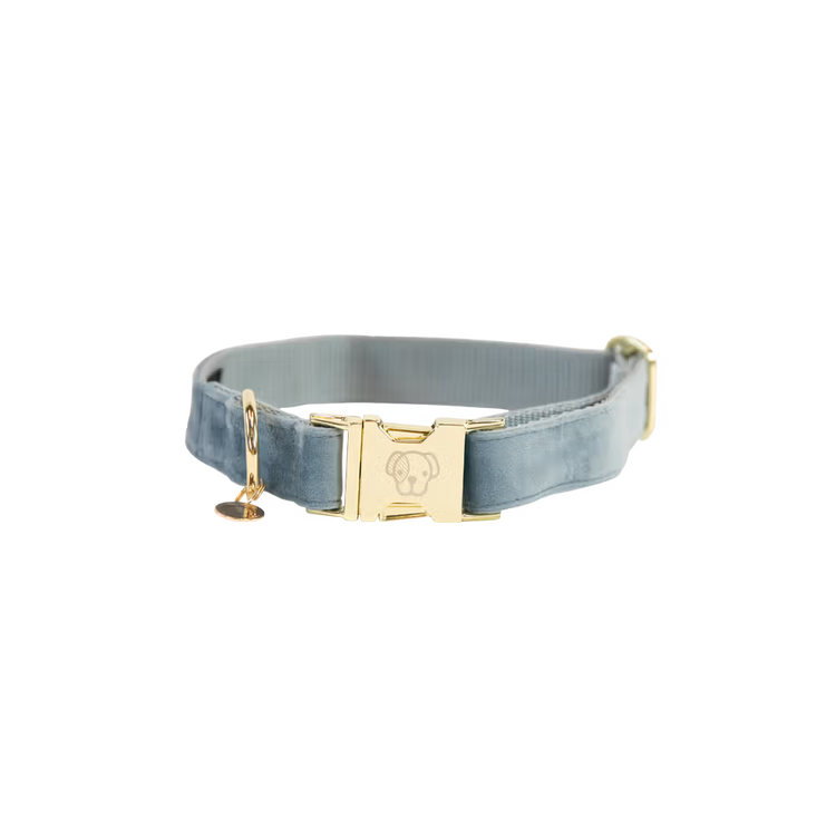 Kentucky Dogwear
Dog Collar Velvet Blue
