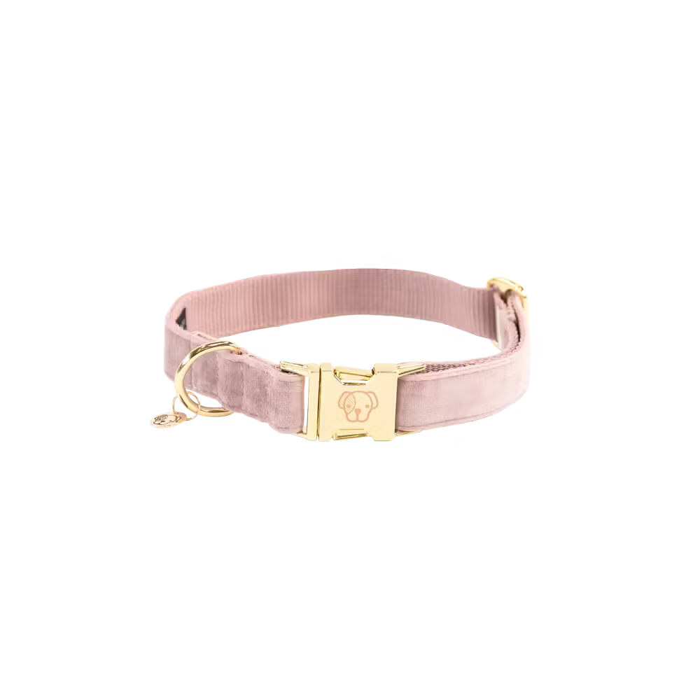 Kentucky Dogwear
Dog Collar Velvet Rose