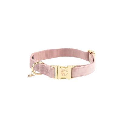 Kentucky Dogwear
Dog Collar Velvet Rose