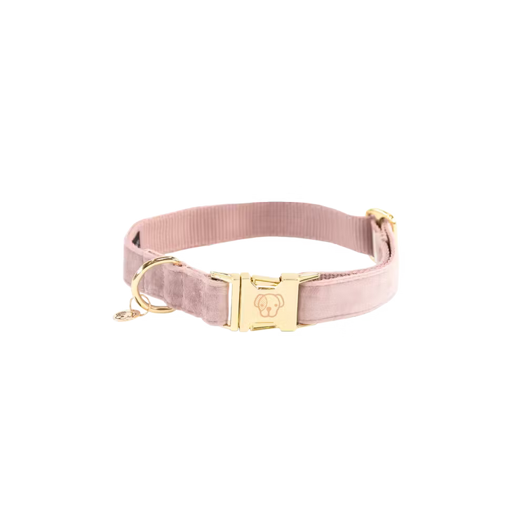 Kentucky Dogwear
Dog Collar Velvet Rose