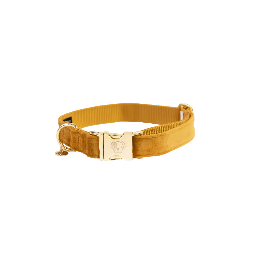 Kentucky Dogwear
Dog Collar Velvet Mustard