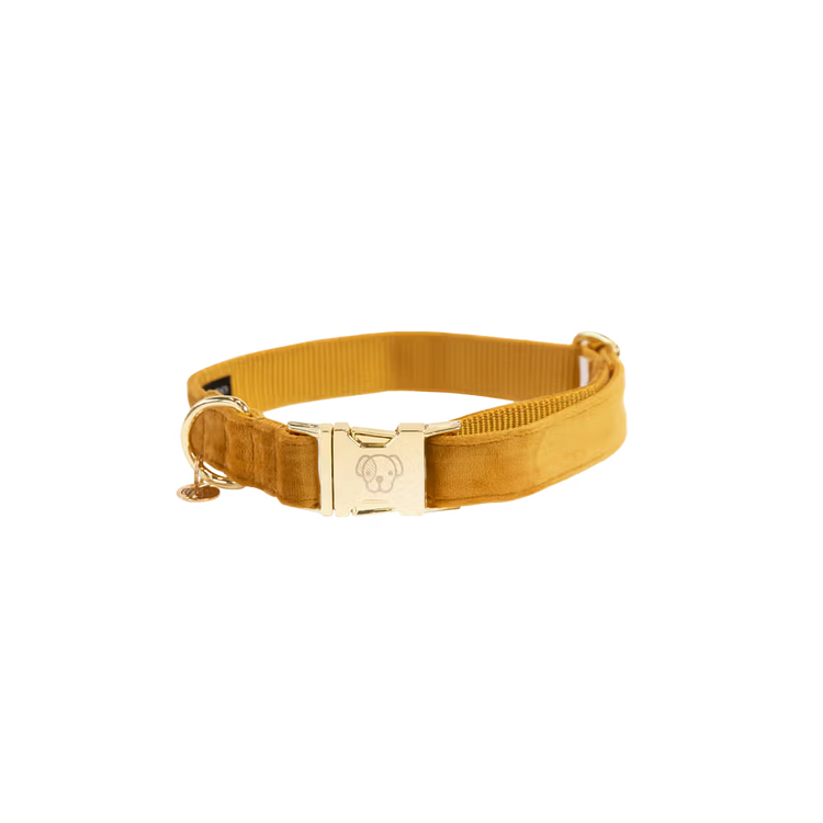 Kentucky Dogwear
Dog Collar Velvet Mustard