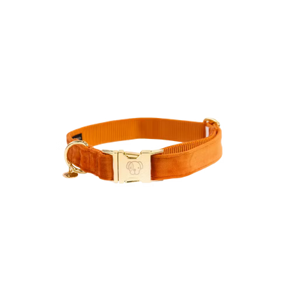 Kentucky Dogwear
Dog Collar Velvet Orange