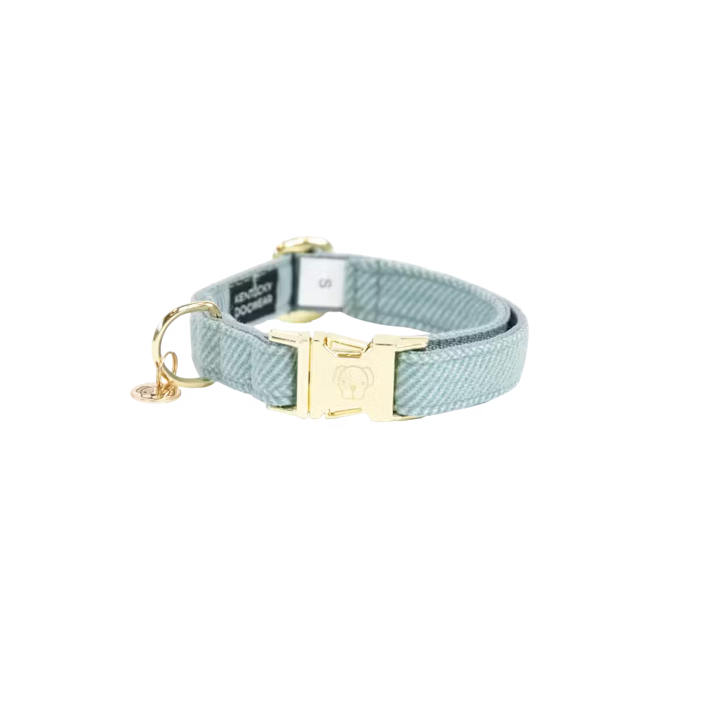 Kentucky Dogwear
Dog Collar Wool Blue