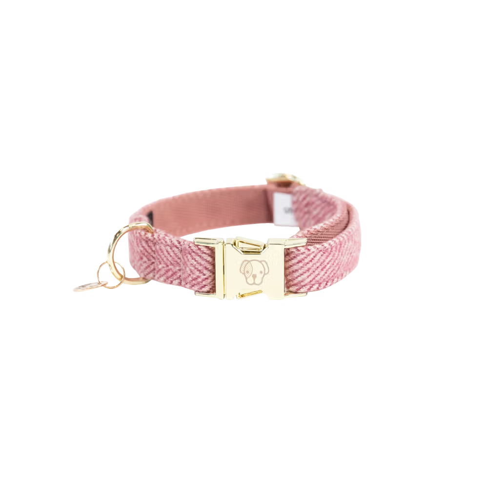 Kentucky Dogwear
Dog Collar Wool Pink
