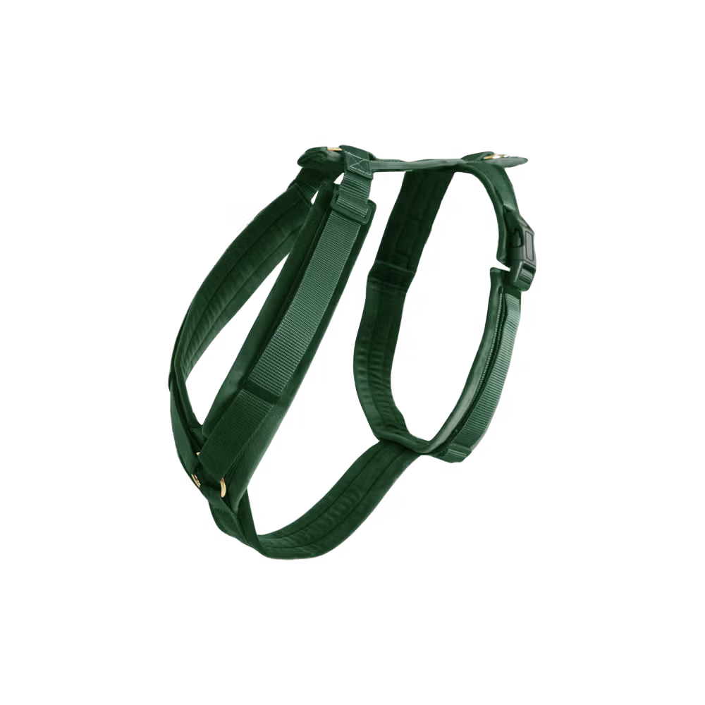 Kentucky Dogwear
Dog Harness Active Velvet Green