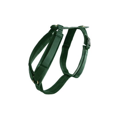 Kentucky Dogwear
Dog Harness Active Velvet Green