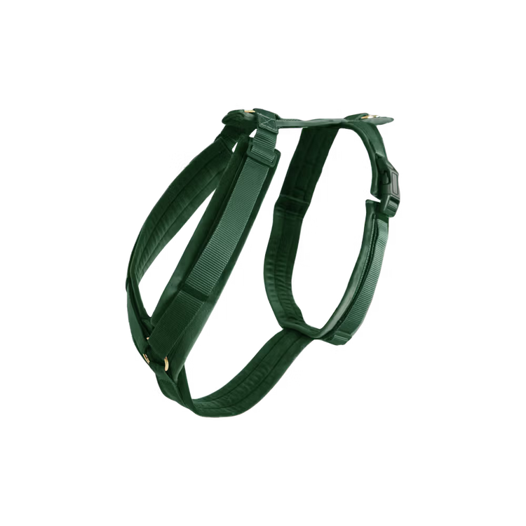 Kentucky Dogwear
Dog Harness Active Velvet Green