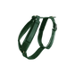 Kentucky Dogwear
Dog Harness Active Velvet Green