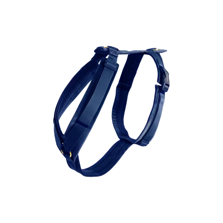 Kentucky Dogwear
Dog Harness Active Velvet Navy