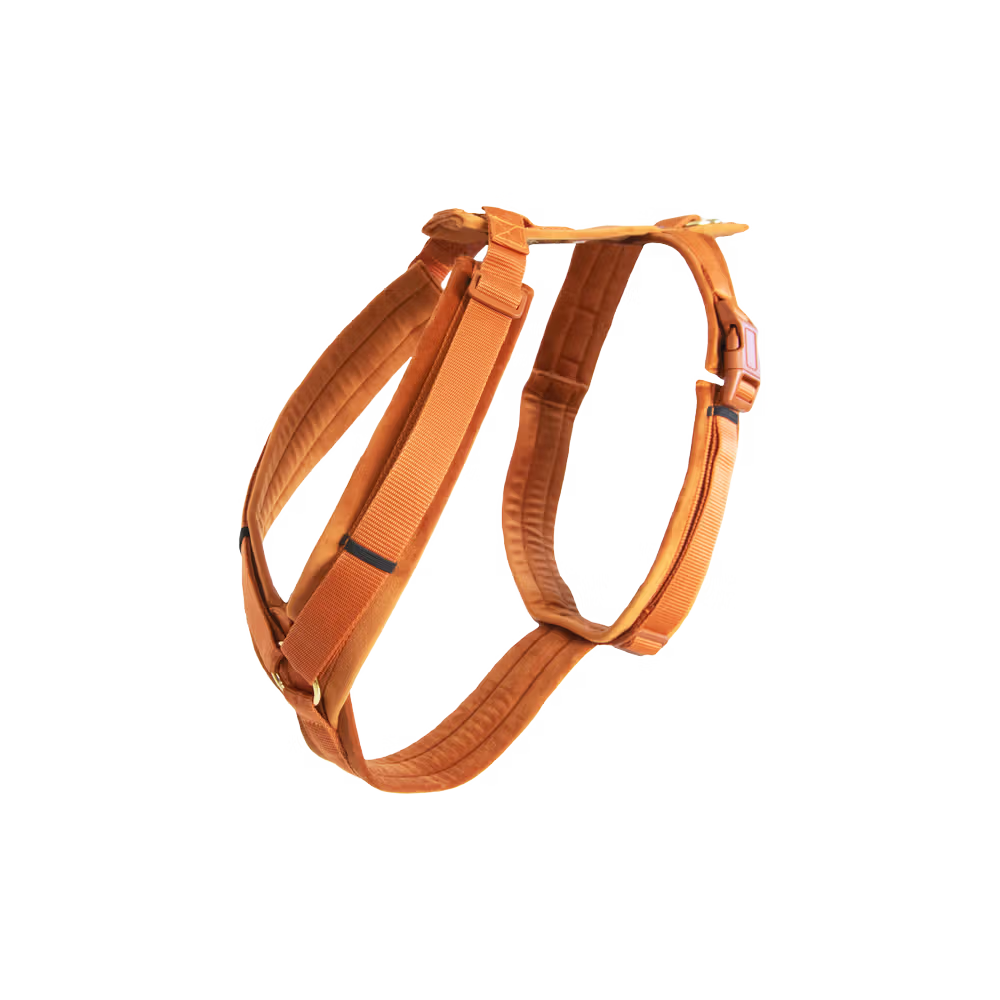 Kentucky Dogwear
Dog Harness Active Velvet Orange