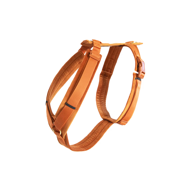 Kentucky Dogwear
Dog Harness Active Velvet Orange