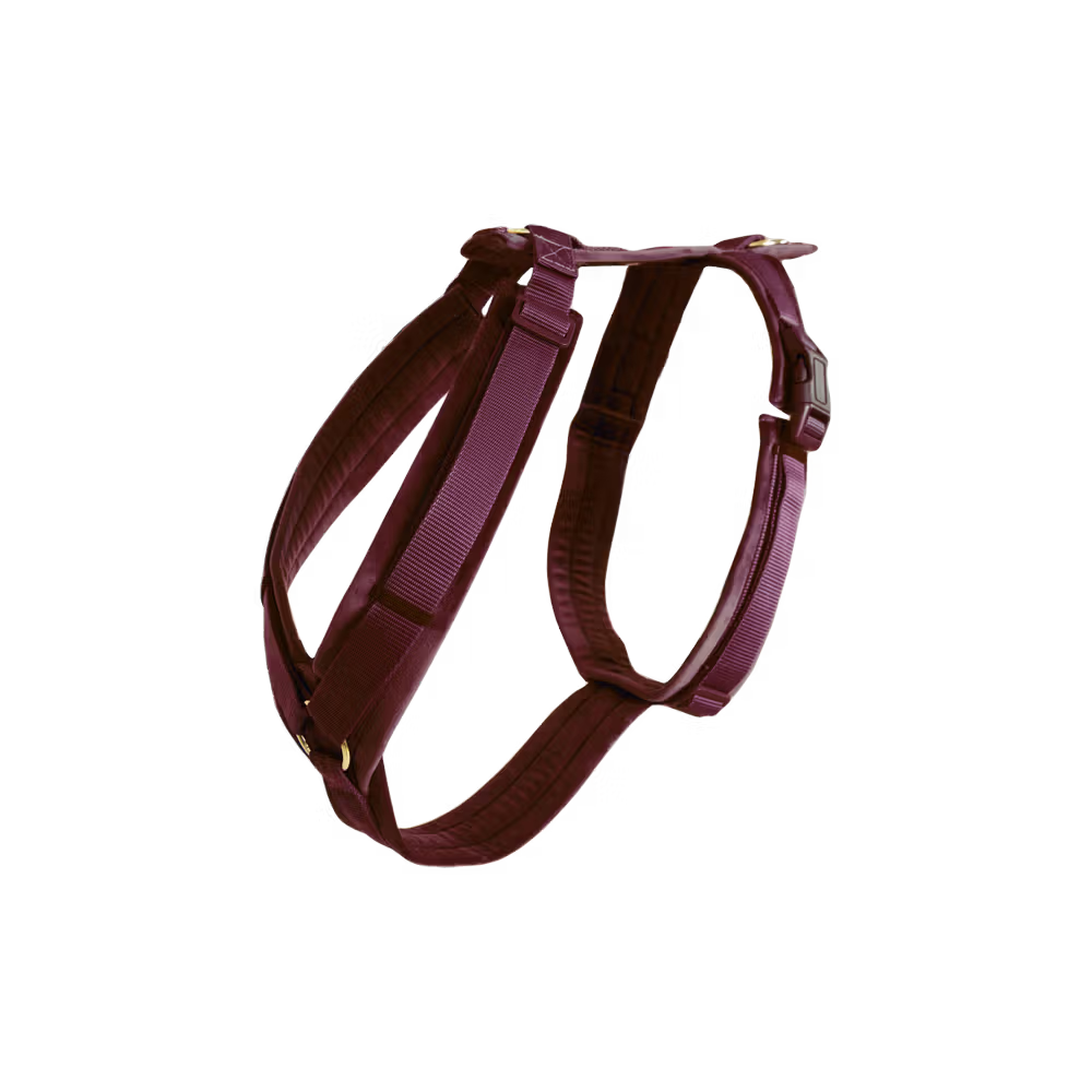 Kentucky Dogwear
Dog Harness Active Velvet Red